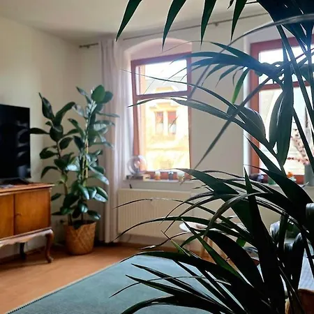 Zentrale & Ruhige Stadtwohnung Nahe Hbf Und Uni Lägenhet *